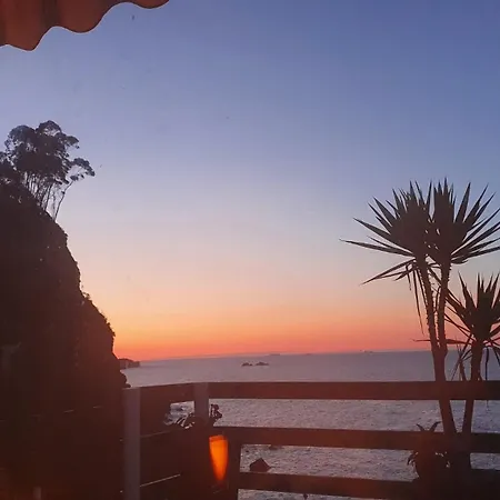 Pura Vida Estano Gijón