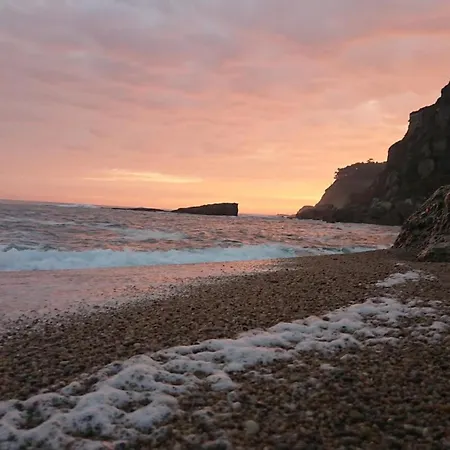 Pura Vida Estano Daire Gijón