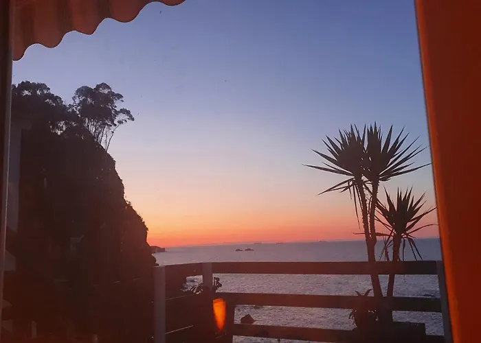 Pura Vida Estaño Gijón