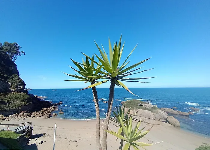 Pura Vida Estaño Apartamento